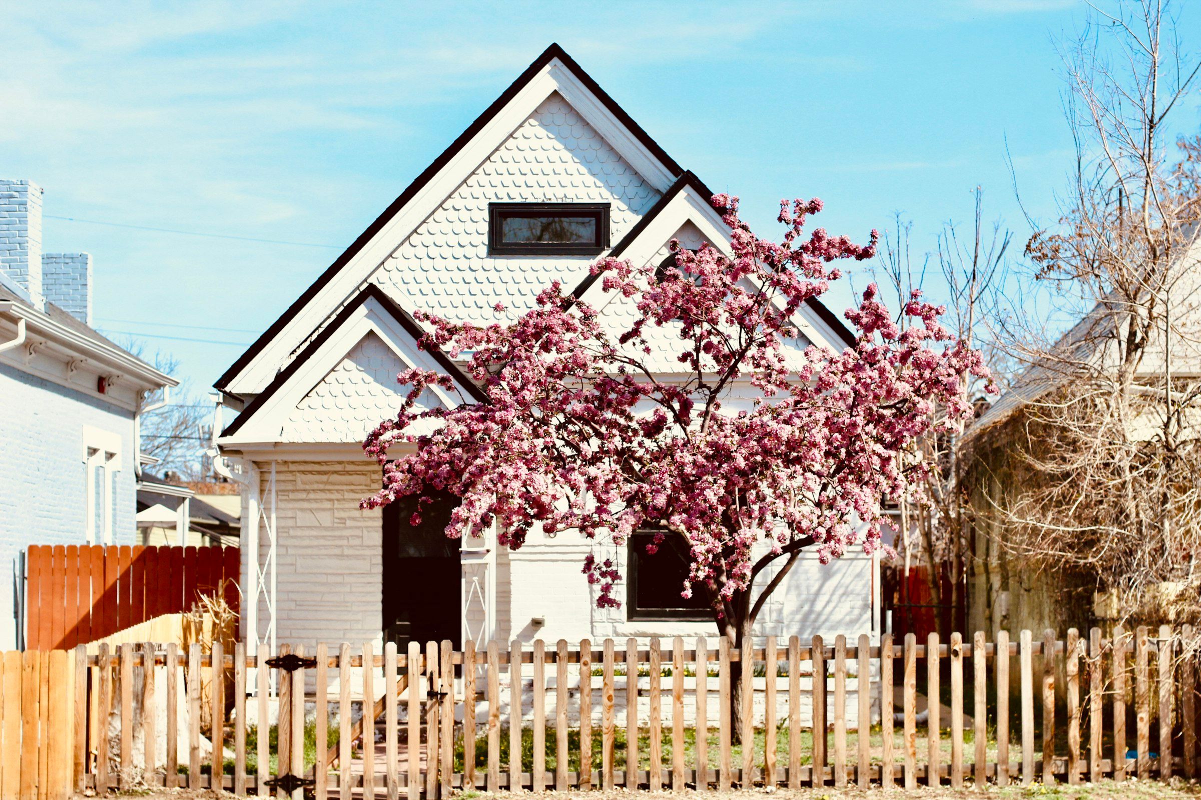 A white house with a gabled porch behind a picket fence and a flowering tree