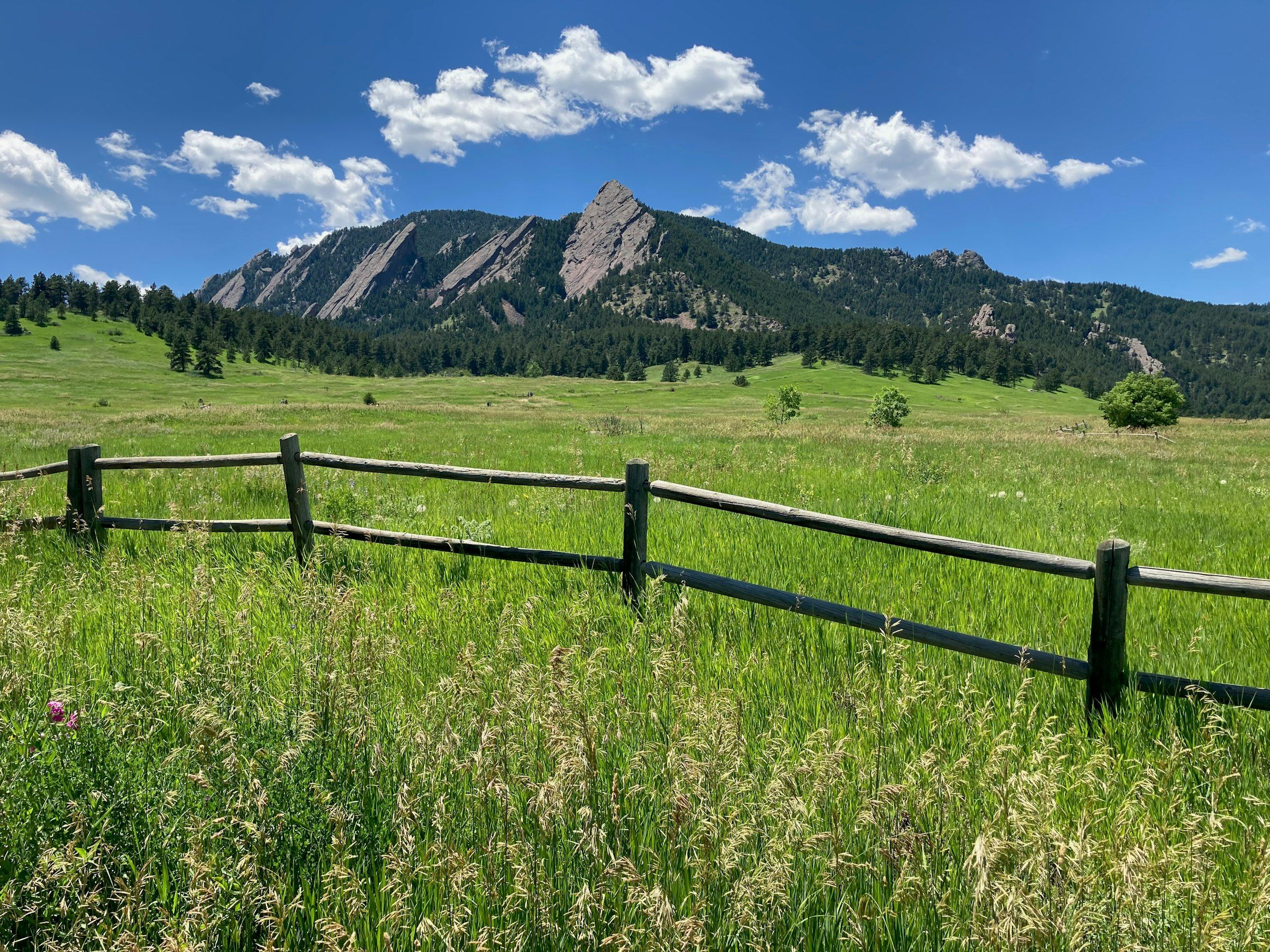 A split-rail fence in a green meadow below the Flatirons in Boulder